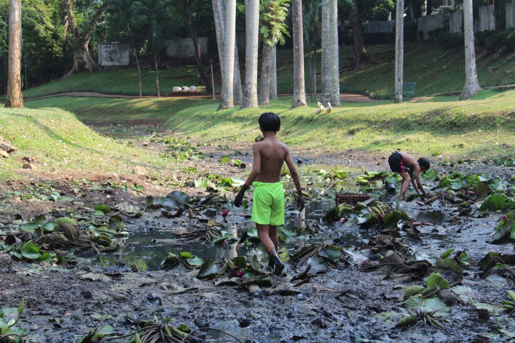 Bias Etika Jurnalisme: Anak Bermain di Taman Umum yang Mengalami Kekeringan Ekstrim