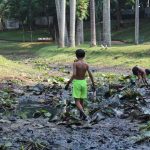 Anak Bermain di Taman Umum yang Mengalami Kekeringan Ekstrim